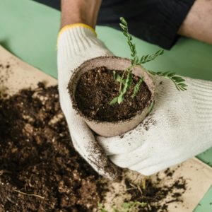 Cursos de Jardinería Online