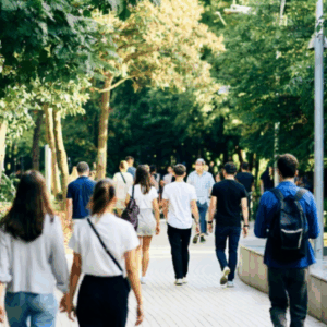 Curso Gratuito Programa de prevención, identificación y alternativas de ocio al juego y apuestas on line (SSCB04 )